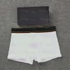 Luxe Hommes Slip Respirant Confortable Coton Boxers pour Hommes Sexy Mâle Mémoires Sous-Vêtements Designer Homme Boxer Shorts