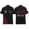 F1 t-shirt uniforme d'équipe de course formule un polo de course grande taille t-shirt mode hommes été f1 voiture fan vêtements