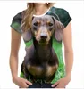 T-shirt feminina moda de algodão fofo cachorro cão 3d estampa mulher menina animal harajuku o pescoço de manga curta Summer Topwomen's