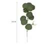 Singel Branch Eucalyptus Leaf Flower Faux Floral Arrangemang DIY Dekoration Simulering Pengar Eukalyptus Leafs med frukt