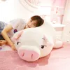 40 à 75 cm Pigne squish poupée pelucheuse piggy jouet animal molle plishie hand chauffant couverture enfant bébé cadeau réconfortant 220629