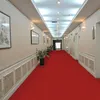 Carpets Outdoor Weddings Party Thickness 10 MM Various Colors Carpet Wedding Aisle Runner White Red Festival CarpetCarpets9531326