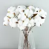 30 sztuk Biały Sztuczny Kwiat Faux Naturalnie Bawełna Kwiat Bukiet Dekoracje Do Wedding Wedding Bridal Shower Decor Urodziny 220406