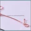 Hooks Rails Home Storage Organization Housekee Garden Rose Gold Underwear Hangers Clothes Prop Single Line Chromed Metal Lingerie Troses