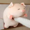 Soft Down Cotton Bobo Pig Plush Toy Cute Animal Pillow Pig Doll Backrest Cushion Gift