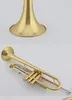 BB Professional Trumpet Advanced High Quality B Trumpet plat Ponillement et Case Gold Lacquer Wind Instruments Trumpe