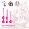 Vaginal Geisha Ball Ben Wa Clitoris Stimulator Vagina Tightening Exercise Machine Kegel Exercises sexy Toys for Women