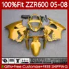 Corpi per stampi ad iniezione per KAWASAKI NINJA 600CC ZZR600 05 06 07 08 Carrozzeria 134No.28 100% Fit ZZR-600 600 Oro lucido CC 05-08 ZZR 600 2005 2006 2007 2008 Kit carenature OEM