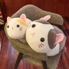 Soft dessert cat teacher plush toy kitten doll girl pillow children's birthday gift manufacturer wholesale