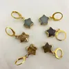 Dangle Lustre Goldtone Acier Inoxydable Star Stone Boucles d'oreilles Huggie Hinged Facted Crystal Natural Quartz Tiny Drop Boucles d'oreillesDangle Farl22