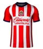 2023 2024 2025 Chivas de Guadalajara Soccer Jerseys 200周年記念22 23 24 25 Liga MX I. Brizuela A. Vega J. Sanchez S. Flores Football Shirt T F. Beltran Gonzalez G. Orozco