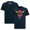 F1 Formel One T-shirt fan racing kostym Bil Överaller Team Kortärmad snabbtorkande T-shirt-logotyp kan anpassas