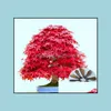 Sonstige Gartenlieferungen Patio Rasenhaus 30pcs Samen USA Amerika Red Maple Tree Bonsai Innensaatplant