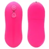 Massageador de brinquedos sexuais Mini Bullet Vibrator Uretral Plug Plug Egg Vibration Remote Control G-Spot Toys Para Mulheres 10 Velocidade 2nwy