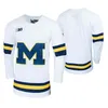 Maglie da hockey su ghiaccio del Michigan Wolverines College Maglia da uomo Jake Slaker Strauss Mann Nick Pastujov Griffin Luce Luke Morgan Cucita personalizzata