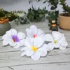 Decoratieve bloemen kransen stukken kunstmatige Hawaiiaanse plumeria frangipani zijden hoofden voor doe -het -zelf haarclip krans plakboek bruiloft decoratie