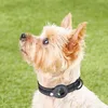 Hundehalsbänder Leinen für Apple Airtag Hülle Katzenhalsband GPS Finder Nylon Bunte Schutz Air Tag Tracker ZubehörHund