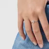 Andy Jewel Luxury Bear Ring Smycken 925 Sterling Silver Silver Fragile Nature Fits European Designer Style Women Love Gift C8459388