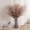 50 stuks natuurlijke pampasgras riet gedroogde bloemen herfstdecoraties voor thuis echte bloemen bruiloft interieur nepplanten268V198W3360065