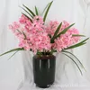 New Arrival One Faux Vanda Flower Branch Artificial Phalaenopsis 16 Heads Butterfly Orchid for Wedding Centerpieces Floral Arrangemement