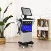 14 em 1 Equipamento de beleza Máquina de beleza hidrafacial vertical Hydro Diamante facial Peel Hydra DermoBrasion Machine Water Jet Aqua Facials