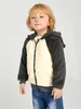 Toddler Boys Two Tone Raglan Sleeve 3D Ear Design Hooded Teddy Jacket SHE