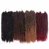 Ombre 100% Kanekalon Bohème Passion Twist Cheveux 18 pouces Tresses Vague D'eau Passion Twist Crochet Cheveux