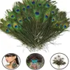 Elegant decorative materials decorative Feather Beautiful Peacock Feathers about 25 to 30 cm Novelty Items