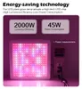 2000W LED GROW Light Full Spectrum Phytolamp för växter Växthushydroponics Grow Lamp inomhus växtblomma sådd