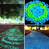 Ogród Dekoracje 100 sztuk Glow W Dark Ogrodowy Decor Luminous Stones Outdoor Fish Tank Decoration Kamy Skały Akwarium Dekoracyjne Pebbl