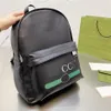 Brand Luxurys Designers Backpacks Fashion Backpack Bags 2021 Women Mens Handbags Purses Palm Springs Mini Bag Top Quality 21051102262D