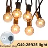 Strings 25/30 Globe Fairy String Light Crystal Ball Kerst Guirlande Straat Bruiloft Lamp Outdoor Voor Party Vakantie Tuin Patio DecorLED LED