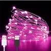 Strängar LED Holiday Light String 10M USB Copper Lamp Flower Packaging Decor Hem Line Color Christmalledorationer