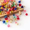 Flores decorativas coronas de 100-600 piezas mini bouquet de estrellas secas en caja