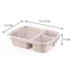 Lunch Box 3 Grid Wheat Straw Bento Bagsradable Transparent Lid Food Container For Work Portable Student Lunch Boxes Containers SN4389