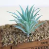 Plantes succulentes bleues artificielles, décoration de jardin de maison, petit bonsaï de bureau, accessoires d'arrangement floral, Plante Artificielle