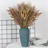 Ghirlande di fiori decorativi Ghirlande di erba di pampa essiccate naturali reali Bouquet Boho Home Decor Dry per la decorazione della festa nuziale Puntelli fai da te Po RegaliDecorazione