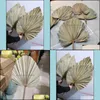 Decorative Flowers Wreaths About 20*40Cm/1Pcs Dried Natural Plant Palm LeavesDiy Dry Fan Leaf For Party Art Wall HangingWedding Drop Del