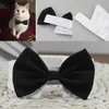 Kot Regulowany Zwierzęta Bow Dog Tie Pet Kostium Nectie Collar dla małych psów Szczeniak Grooming Akcesoria