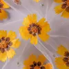 Декоративные цветы Венки Сушеный цветок Coreopsis Basalis DIY Капельный клей Прессованный дизайн ногтей Мыло Свеча Изготовление бумаги Ручная работа Дом 7870191