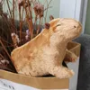 Süße Simulation Tier Capybara Plüschspielzeug Capybara Puppen gefüllt weiche Tiere Kinder Spielzeug Kinder Peluche Weihnachtsgeschenk 220701