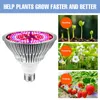 성장 조명 조명 LED Phyto Lamp Plant Seed E27 전체 스펙트럼 Lampara Hydroponic Spotlight Growth 텐트 50W 80W 100W 150W 전구