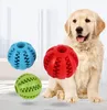 treat dispensing dog ball