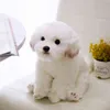 Bichon presh puppy محشو تيدي الكلب احتضان لطيف محاكاة الحيوانات الأليفة رقيقة دمى الطفل هدايا عيد ميلاد للأطفال dropshipping j220704