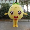Festival Dress Grapefruit Fruits Props Mascot Costume Halloween Christmas Fancy Party Dress Cartoon Character Suit Carnival Unisex Adults Outfit