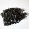 Afro Kinky Curly Clip-In-Haarverlängerungen, 100 Remy-Brasilianisches Haar, 120 g, Set 1 1b 2 4 6 8 99j 27 18