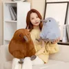 30 cm / 40 cm Bello Kiwi Peluche Carino Nuova Zelanda Nazionale Uccelli Giocattoli Realistici Uccelli Cuscino Farcito Bambole Morbide per Bambini Bambino LA351