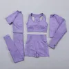 Conjunto de Yoga sin costuras para mujer, conjunto de entrenamiento, gimnasio, manga larga, Top corto de Fitness, mallas de cintura alta, ropa deportiva, trajes de Yoga