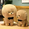 2022 NOWOŚĆ TWOCOLOR CUTE BICHON Plush Doll Symulacja pluszowa psa przytulona poduszka dziewczyna prezent urodzinowy J220729