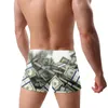 Shorts masculinos Summer Man's ganha Money Dollar Beach Swimwear ADUTRO ADULTO NATAGEM NATAGEM NATA SWIRO DE FETO DE CARACHO